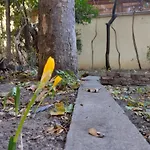 Central Charming Home With Garden Near Parking And Ndk