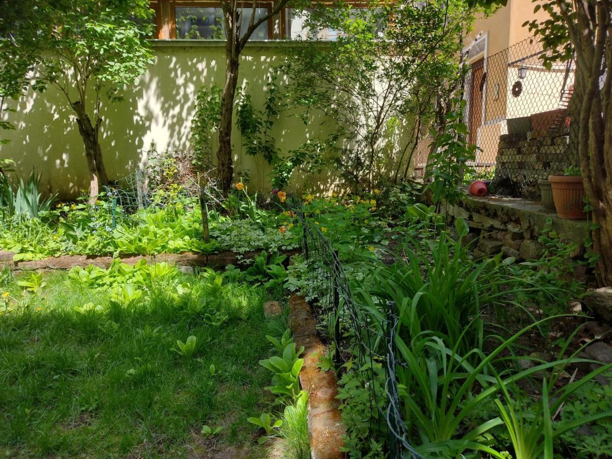 Apartament Charming With Garden Near Parking And Ndk Sofia