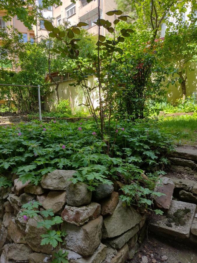 Charming With Garden Near Parking And Ndk *