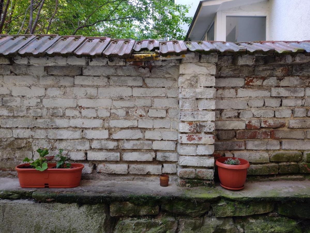 Apartament Charming With Garden Near Parking And Ndk *