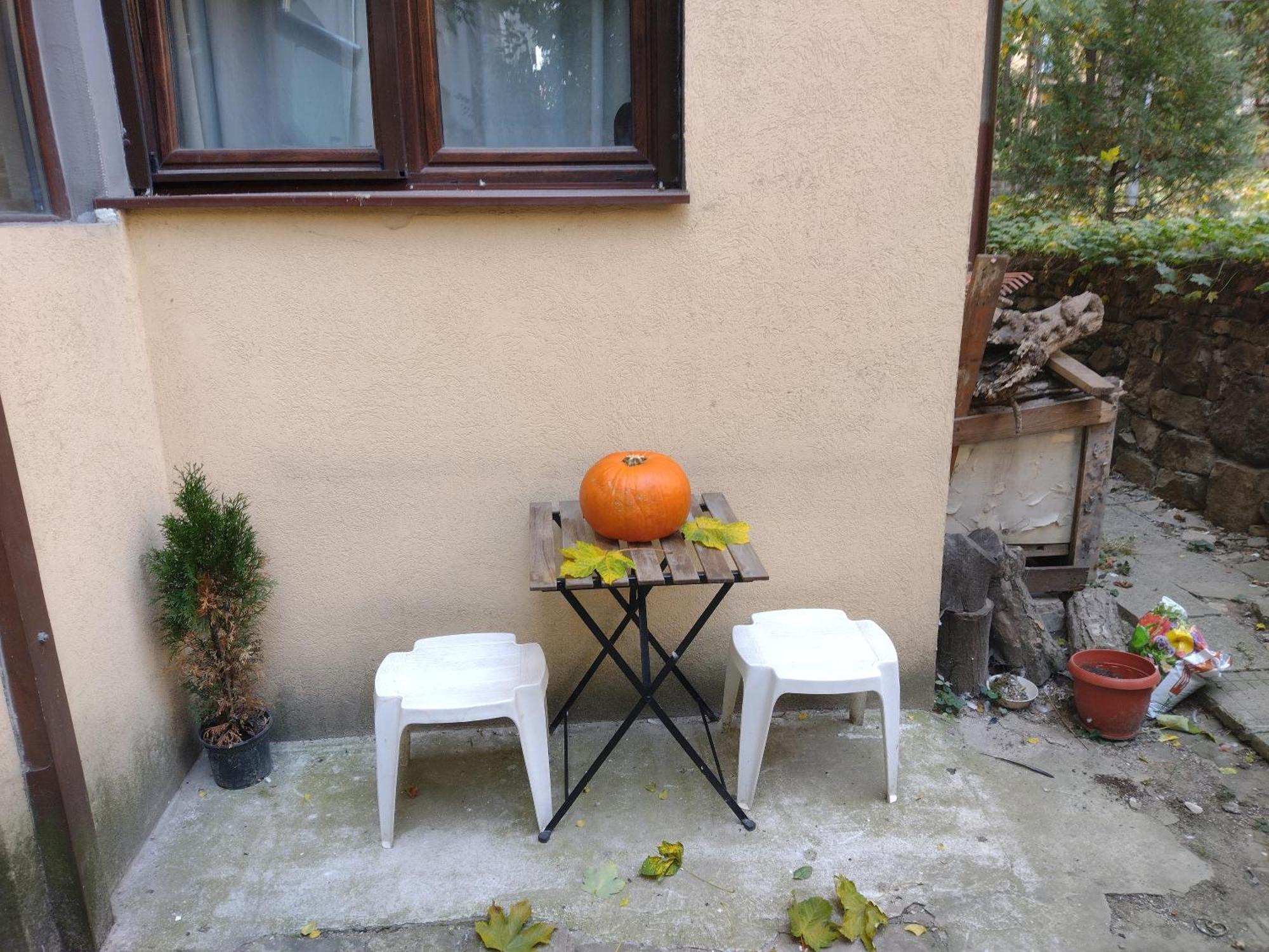 Charming With Garden Near Parking And Ndk Apartament Sofia