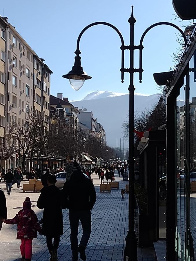 Charming With Garden Near Parking And Ndk Sofia